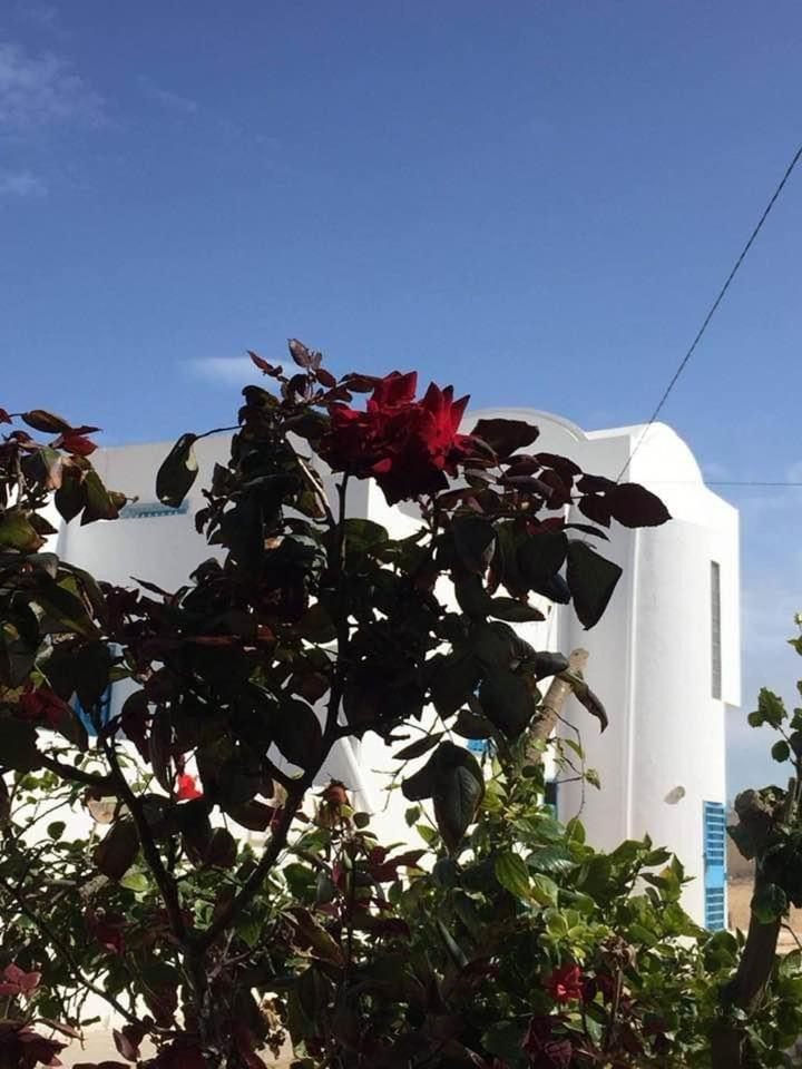 Maison d'hôtes Djerbienne Al Maqarisah